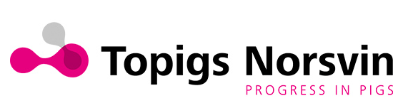 Topigs Norsvin